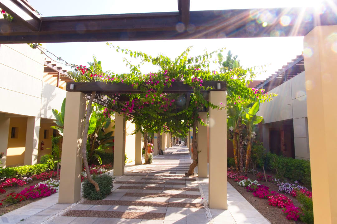 Gartenanlage Astir Odysseus Kos Resort & Spa