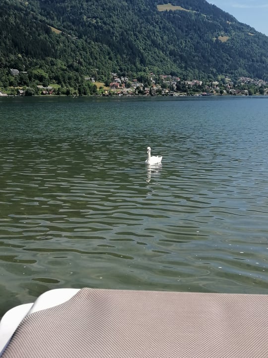 Ausblick ROBINSON LANDSKRON