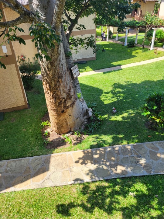 Ausblick Neptune Village Beach Resort & Spa