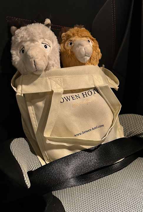 Sonstiges Löwen Hotel Montafon