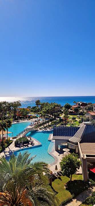 Zimmer Arum Barut Collection