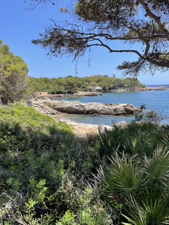 Ausblick Iberostar Waves Pinos Park