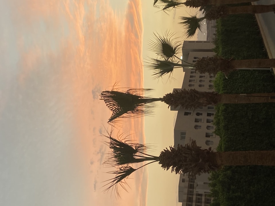 Außenansicht Pickalbatros Palace Resort