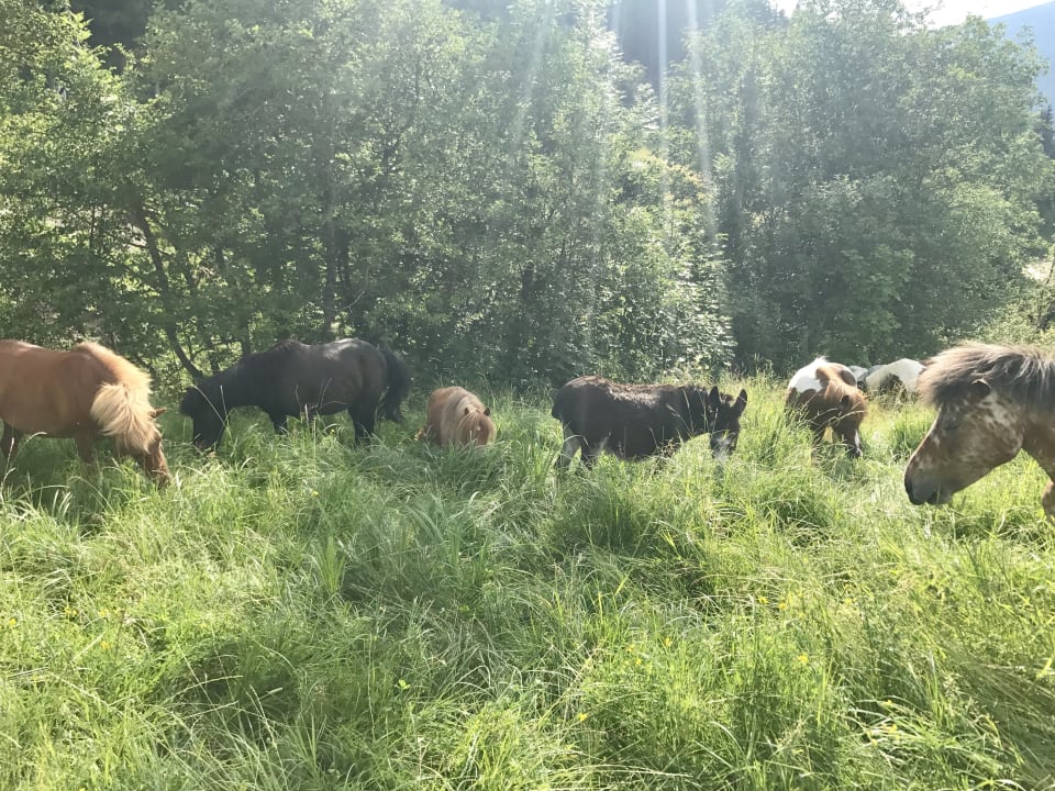 Sport & Freizeit Die Seitenalm