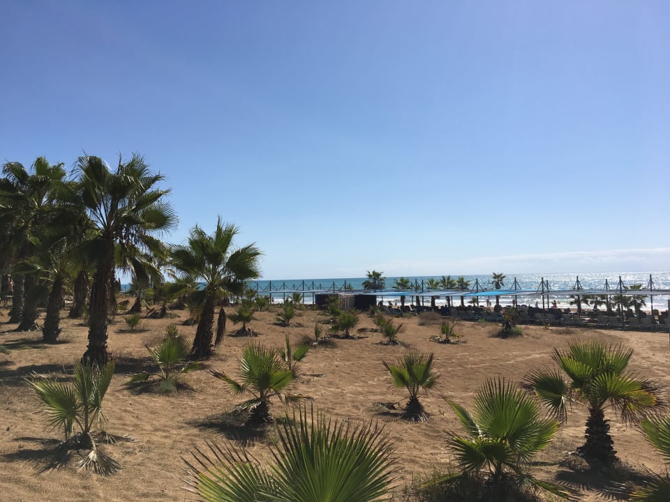 Strand Club Grand Side