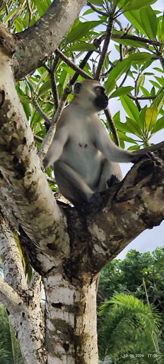 Sonstiges Hotel Southern Palms Beach Resort