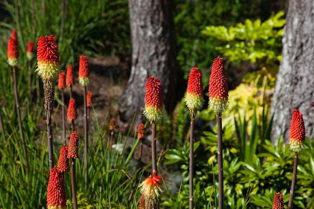 Anlage Shady Shore Beach Resort