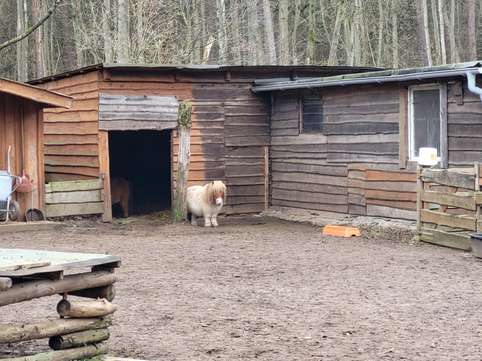 Sport & Freizeit Pension Neue Mühle