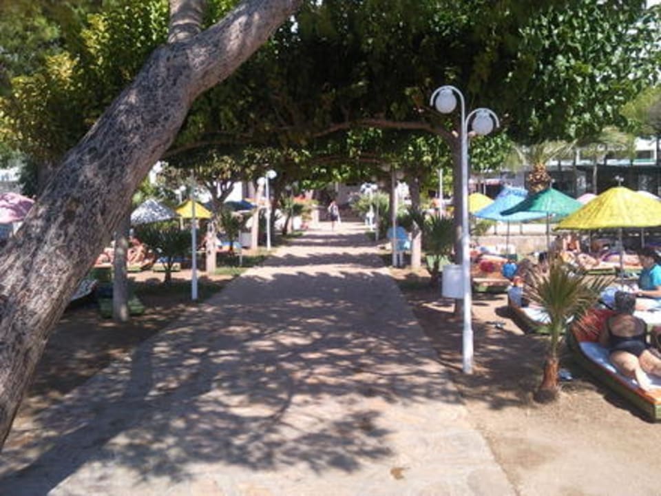 Weg vom/zum Strand Hotel Grand Efe