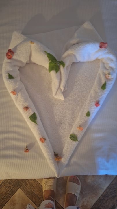 Sonstiges Pickalbatros Citadel Resort