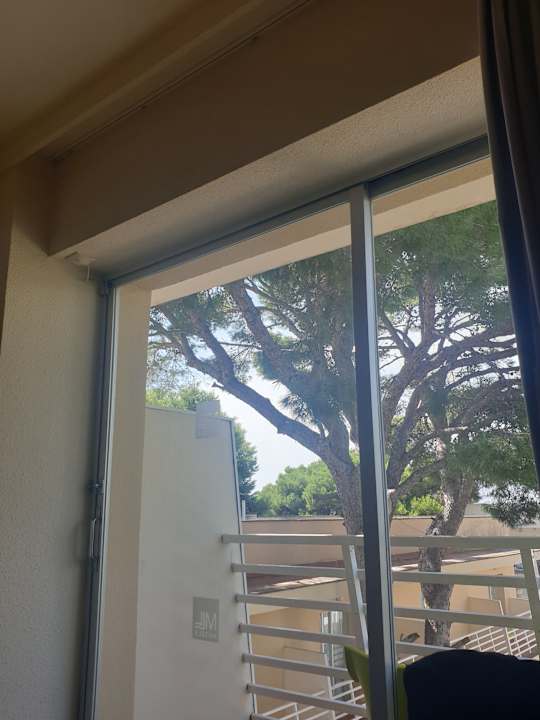 Zimmer MLL Palma Bay Club Resort