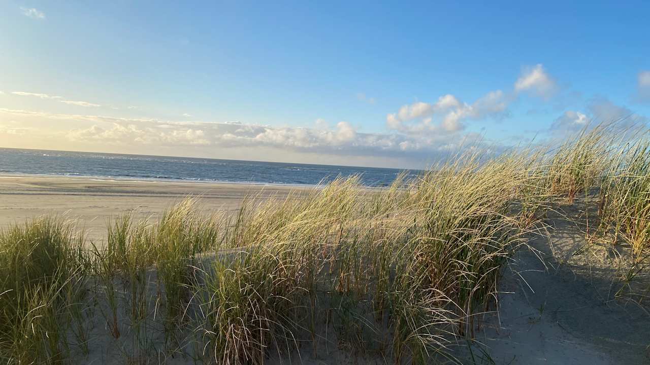 Strand Die Sandburg