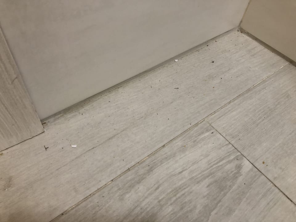 Zimmer Alcudia Garden Aparthotel