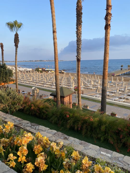 Ausblick Arum Barut Collection