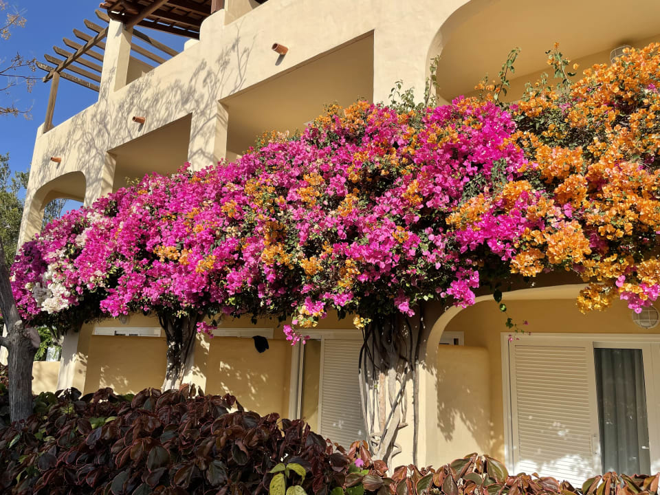 Außenansicht ROBINSON ESQUINZO PLAYA