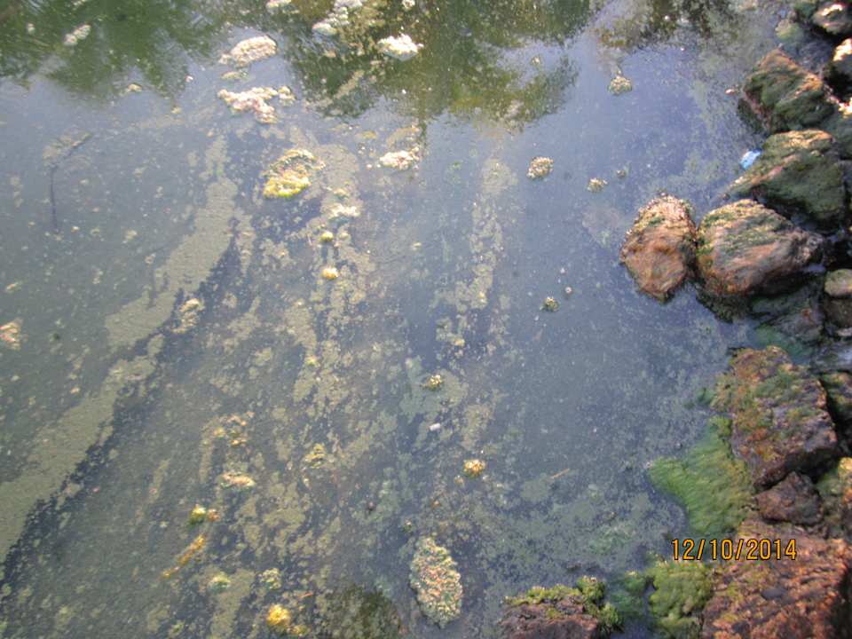 Nicht nur dreckig... stinkig  Melia Las Antillas - Adults only