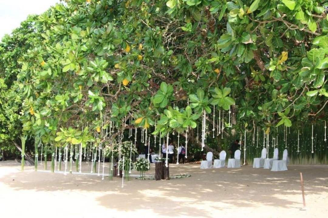 Weddingtree The Sarojin