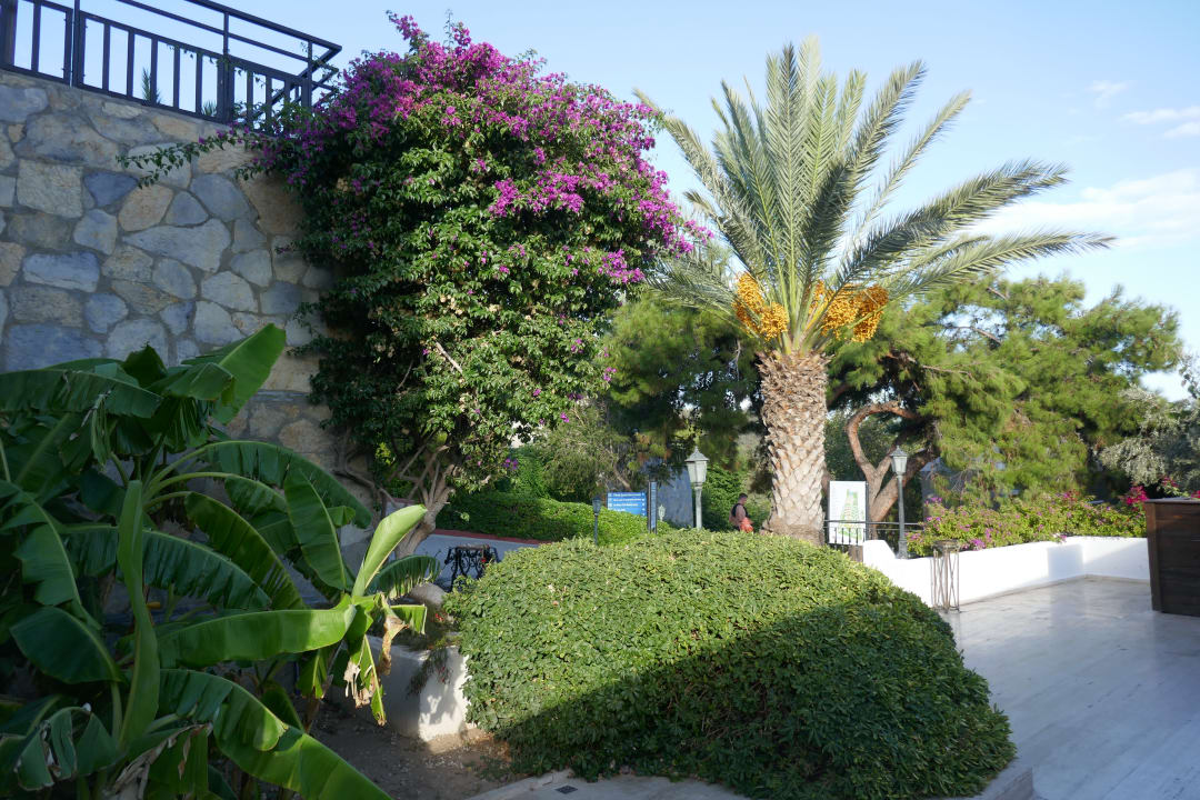 Garten Bodrum Park Resort