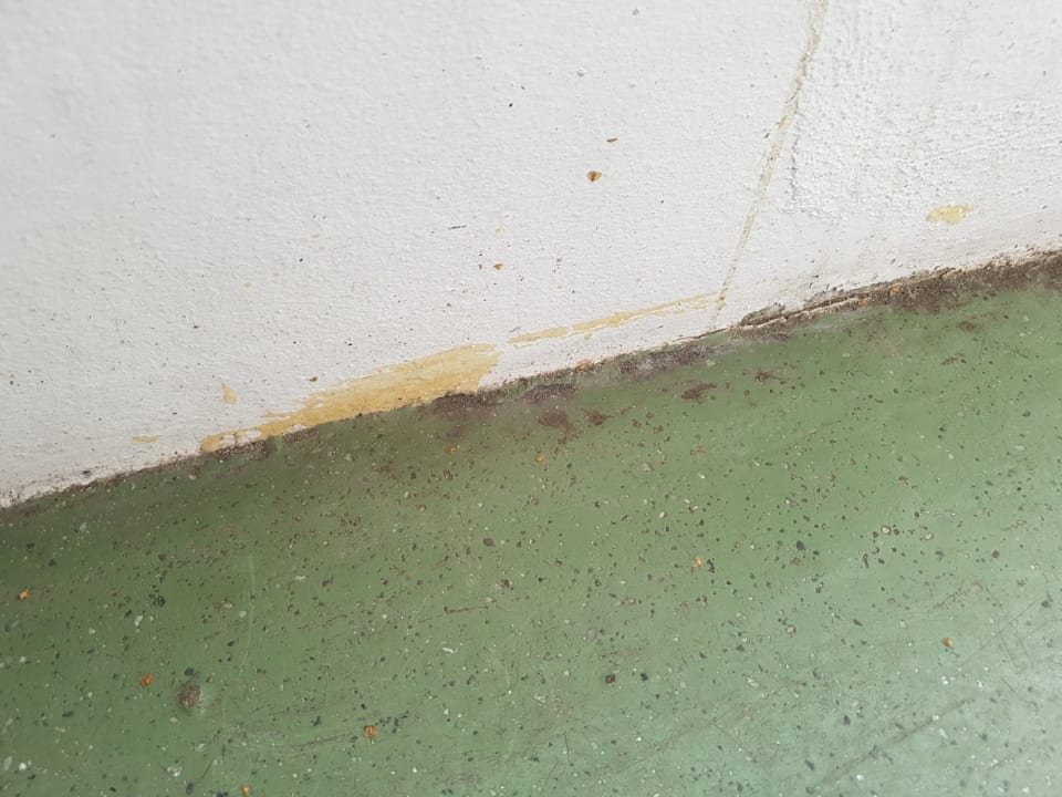 Zimmer Ferienwohnungen Ferienpark Weissenhäuser Strand