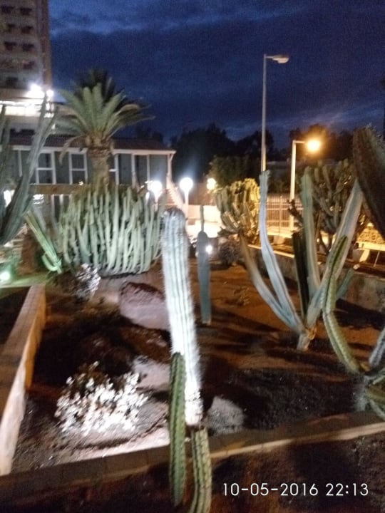 Garten am Hotel Hotel Europalace