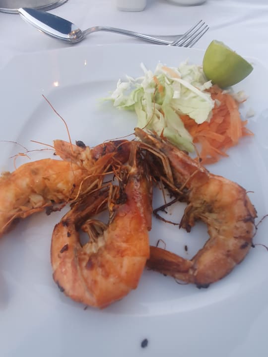 Gastro Shams Prestige Abu Soma-Adults Only