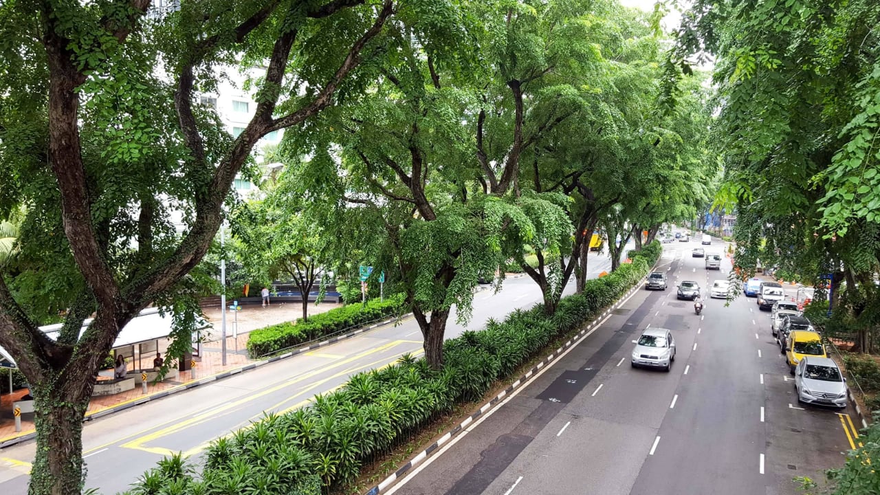 Straße vor dem Hotel Hotel Parkroyal on Beach Road