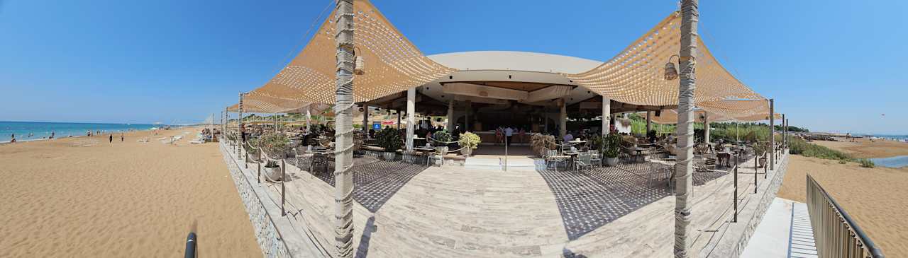 Strand Seashell Vega