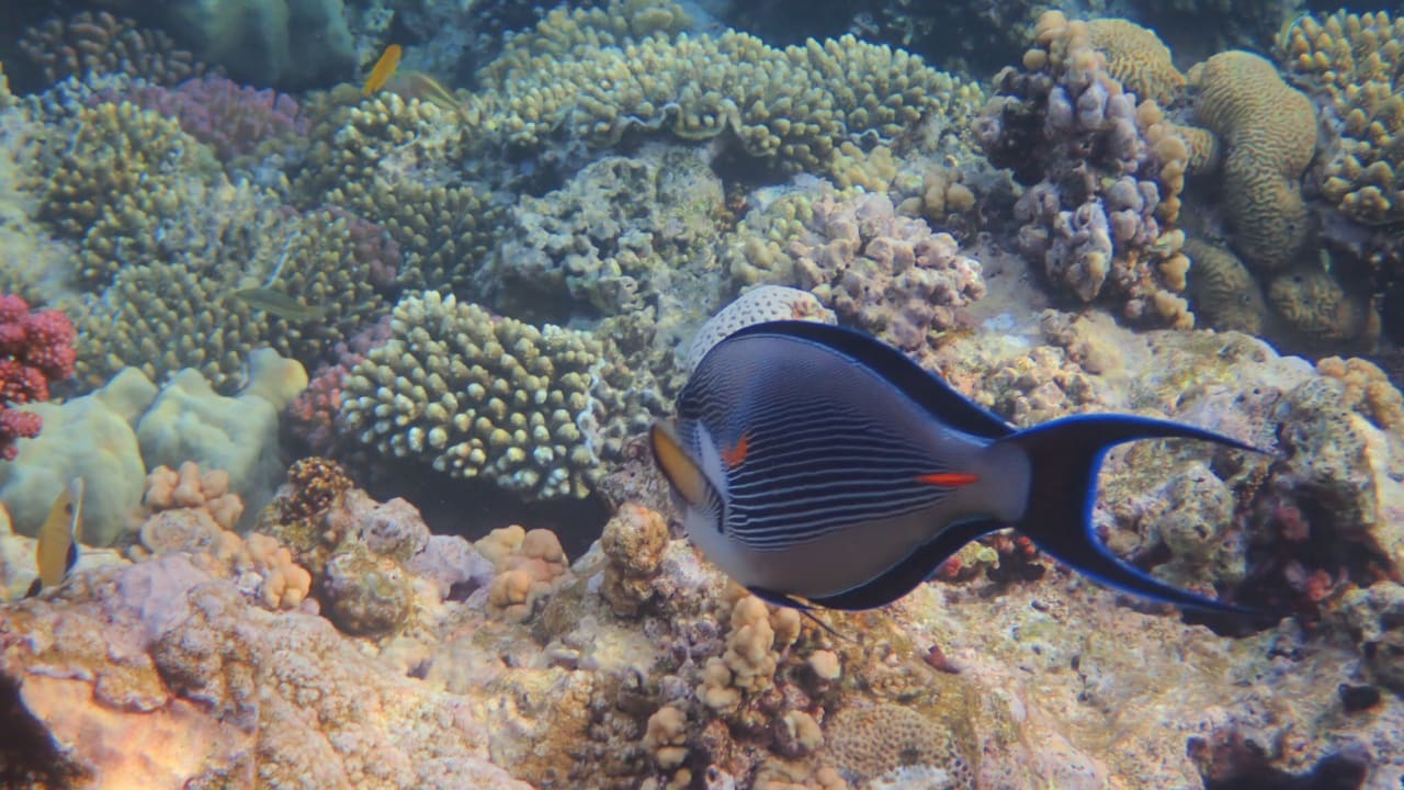 Strand Casa Mare Resort