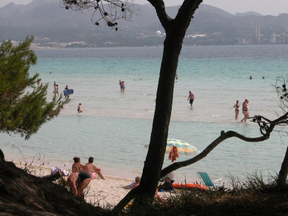 Strandabschnitt Aparthotel Ivory Playa