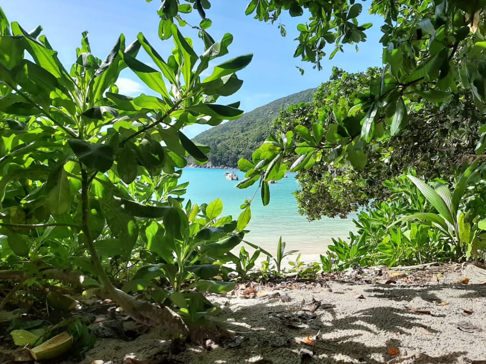 Ausblick Constance Ephelia