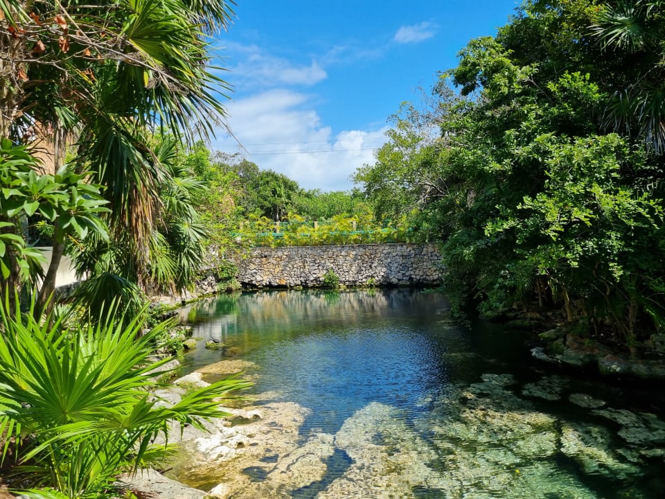 Gartenanlage Catalonia Royal Tulum Beach & Spa Resort - Adults only