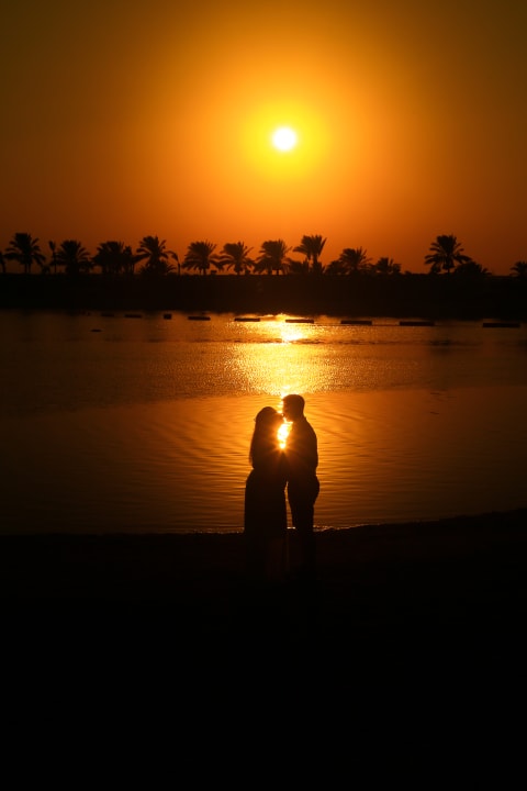 Sonstiges Desert Rose
