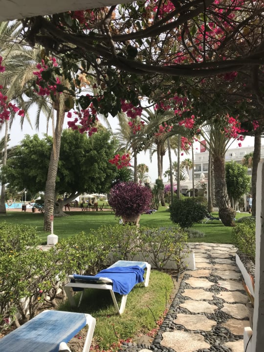 Gartenanlage Sahara Beach Club