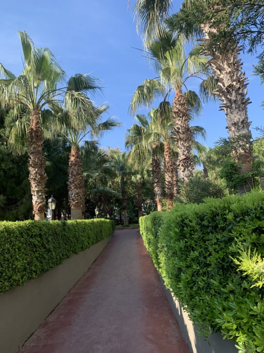 Gartenanlage Side Breeze Hotel