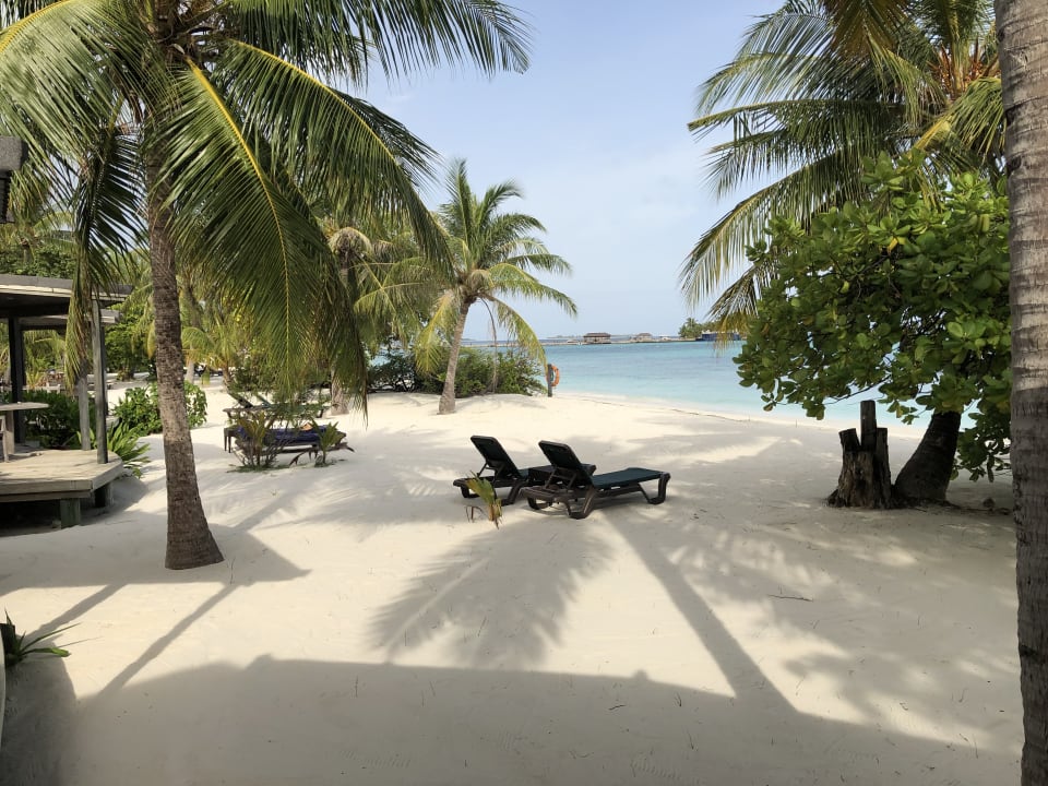 Ausblick Kuredu Island Resort & Spa