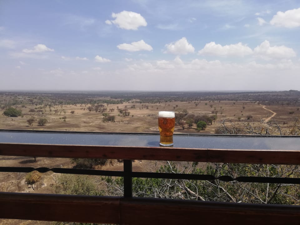 Ausblick Hotel Lobo Wildlife