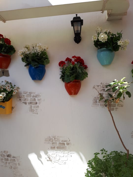 Sonstiges Hane Family Resort