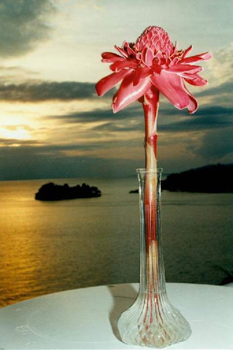 Gran Bahia, Balkon Hotel Occidental Gran Bahia