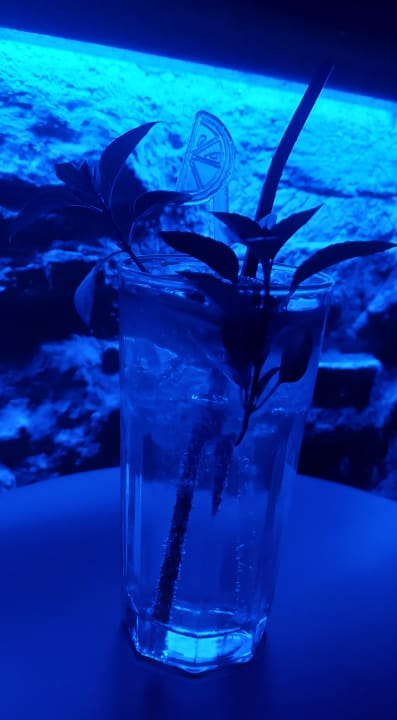 Gastro Hotel Kalithea Horizon Royal