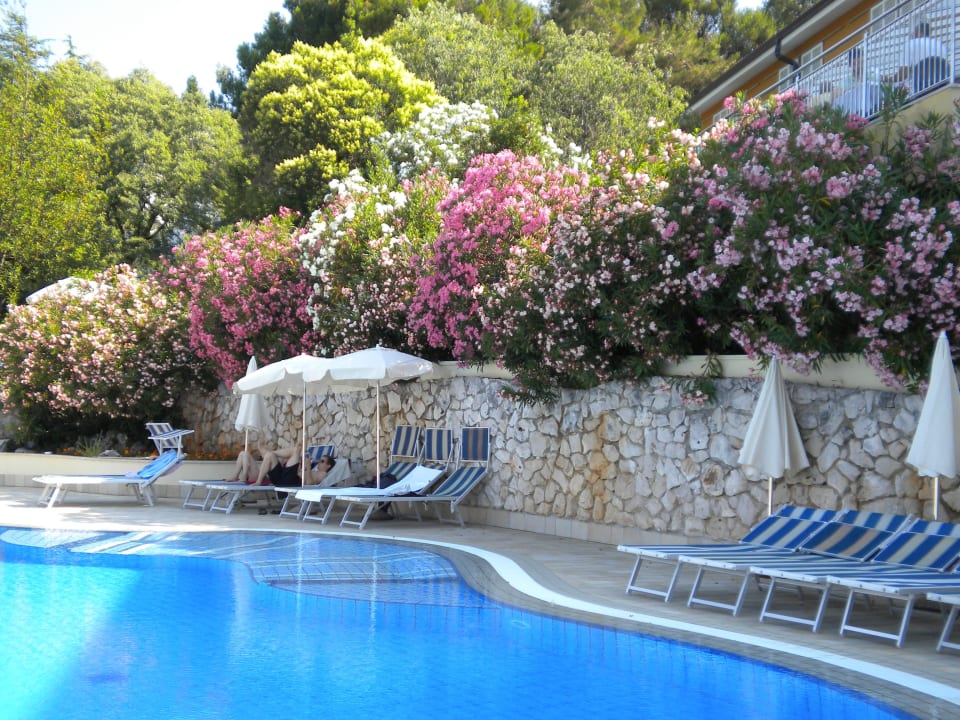 Lieben  Valamar Sanfior Hotel & Casa
