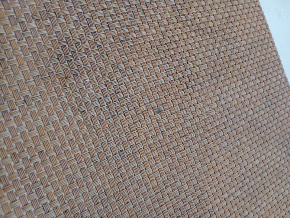 Sonstiges Sirenis Tropical Varadero