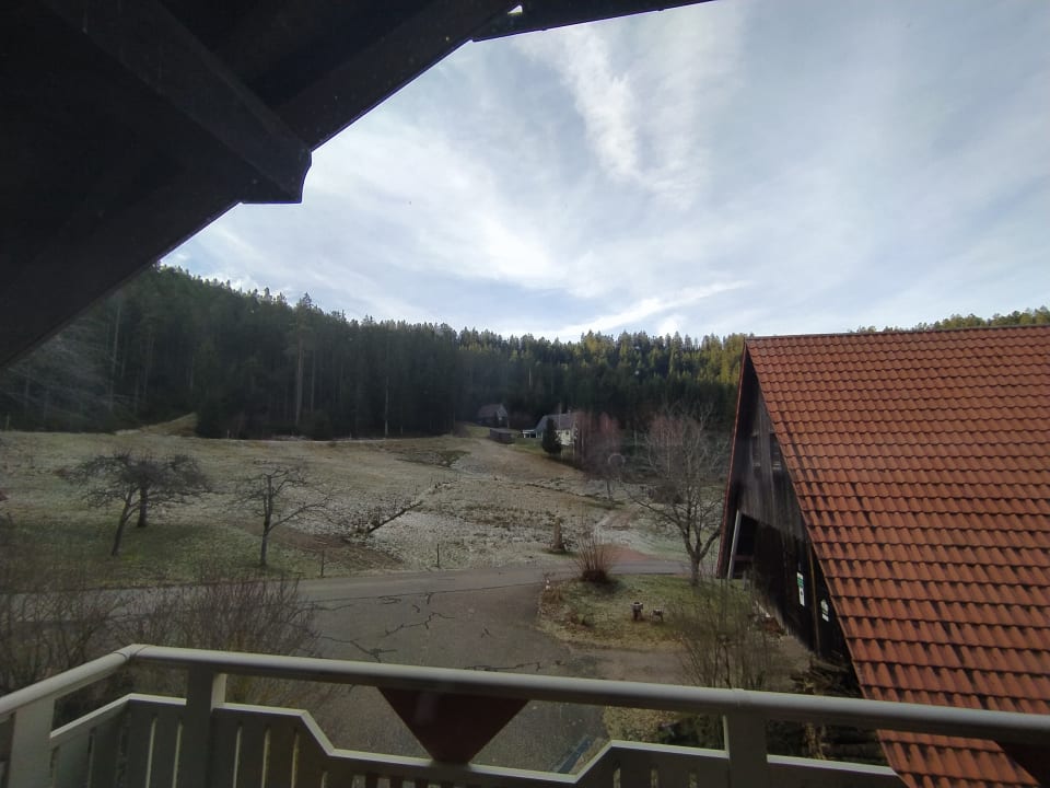 Ausblick Bio-Hof Buchholz