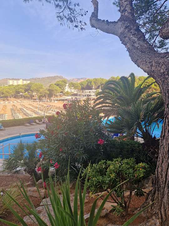 Gartenanlage Hotel Vibra Beverly Playa