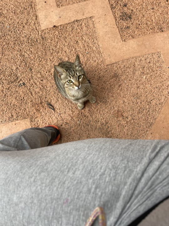 Sonstiges Limak Limra Hotel & Resort