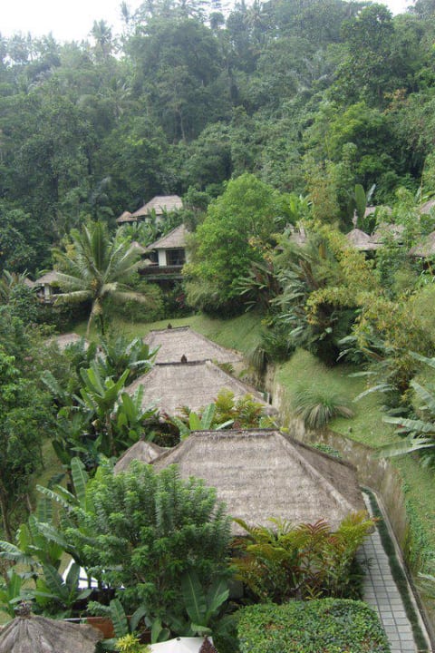 Blick auf die Villen Hanging Gardens of Bali