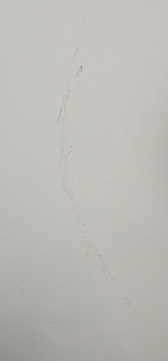 Zimmer Bull Dorado Beach & Spa