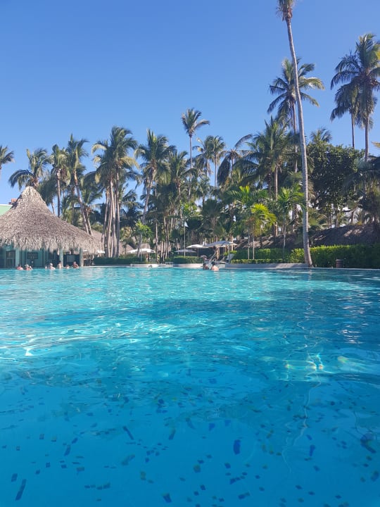 Pool Grand Palladium Select Bávaro Resort & Spa