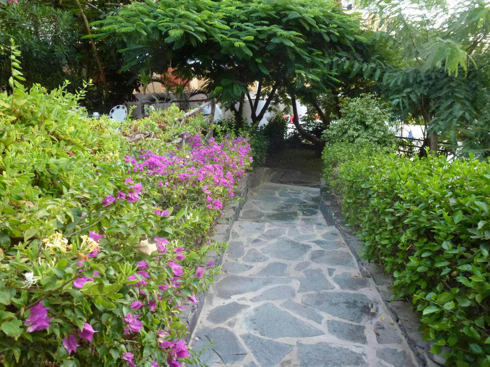 Weg zum unteren Pool allsun Hotel Lucana