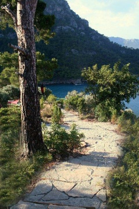 View of the Shambala Shambala Hotel