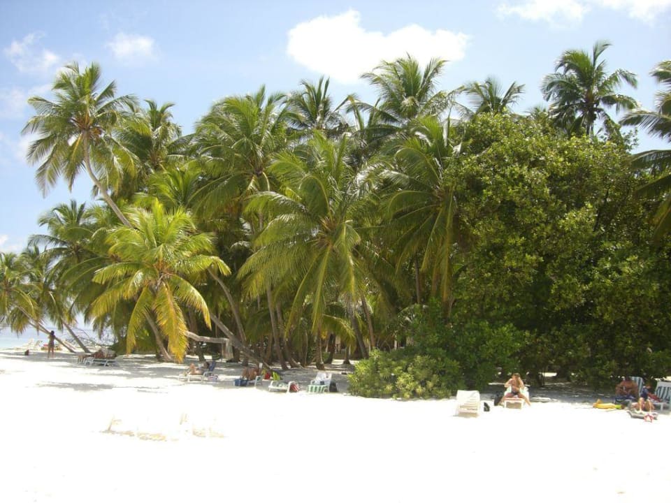 Resortstrand Höhe Bungalows 29 - 34 Fihalhohi Maldives